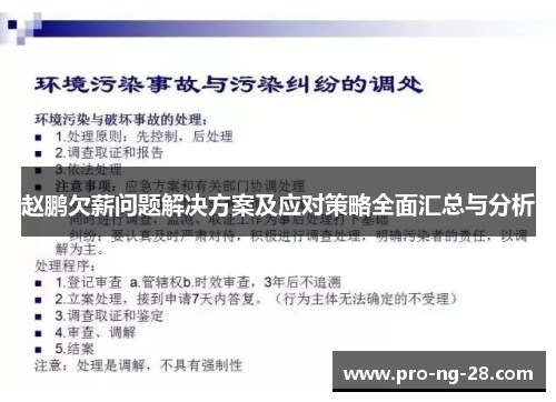 赵鹏欠薪问题解决方案及应对策略全面汇总与分析