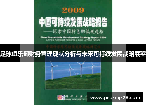 足球俱乐部财务管理现状分析与未来可持续发展战略展望