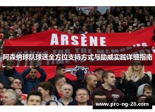 阿森纳球队球迷全方位支持方式与助威实践详细指南