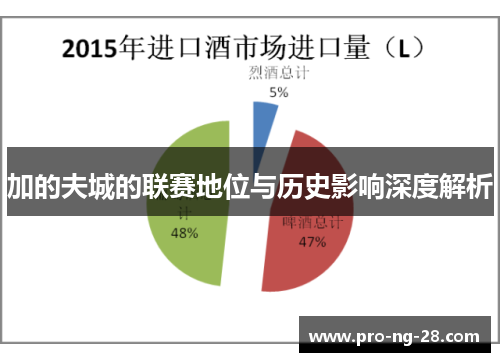 加的夫城的联赛地位与历史影响深度解析