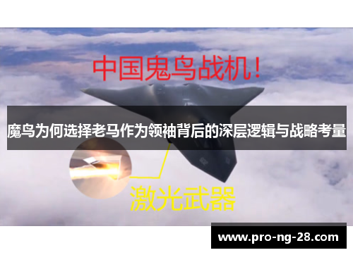 魔鸟为何选择老马作为领袖背后的深层逻辑与战略考量