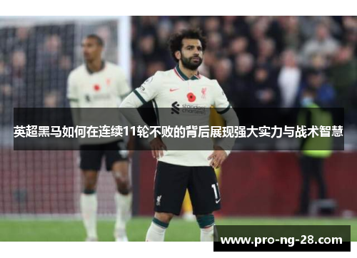 英超黑马如何在连续11轮不败的背后展现强大实力与战术智慧