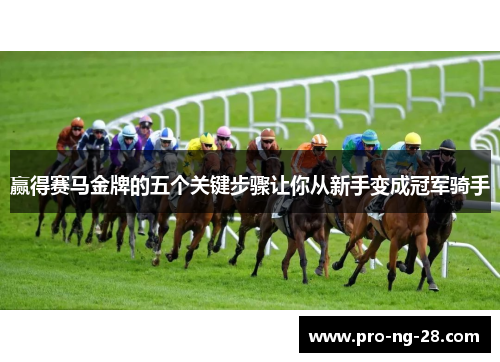 赢得赛马金牌的五个关键步骤让你从新手变成冠军骑手