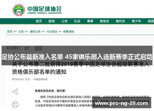 足协公布最新准入名单 45家俱乐部入选新赛季正式启动 足协公布最新准入名单 45家俱乐部入选新赛季正式启动