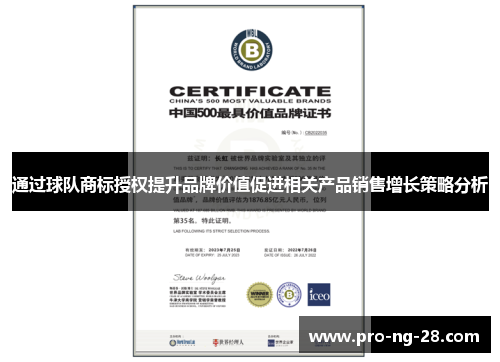通过球队商标授权提升品牌价值促进相关产品销售增长策略分析