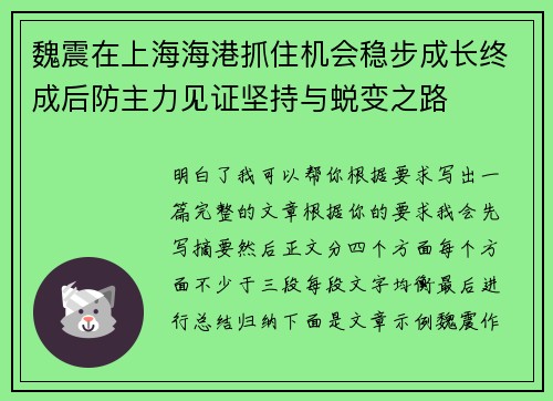 魏震在上海海港抓住机会稳步成长终成后防主力见证坚持与蜕变之路